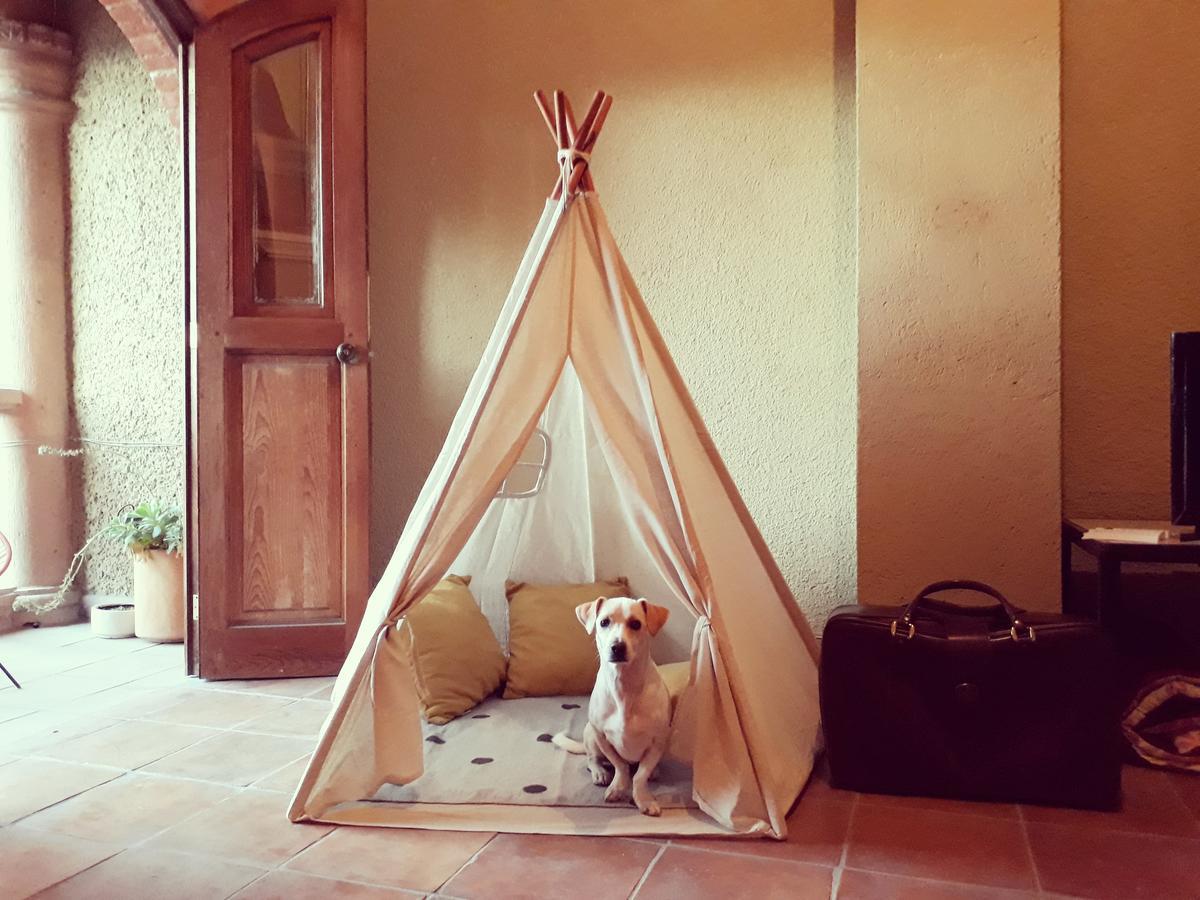 Lool Beh Hostal San Miguel de Allende Exteriér fotografie